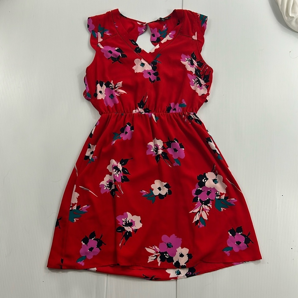 387. 41 Hawthorn Red Floral Dress (M)